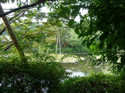 Ryoanji-parc-.JPG
